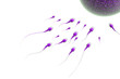 Sperm Attack