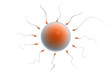 Sperm Attack