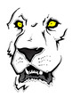 Lion Face Sketch Lion Face Sketch