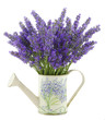 Profumo di Lavanda