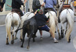 feria dans les rues de Nimes