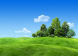 Very detailed 7000px trees on hill - nature collection Very detailed 7000px trees on hill - nature collection