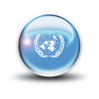 Drapeau ONU