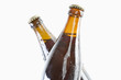 Bierflaschen