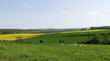 printemps en campagne