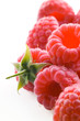 Raspberries on white background