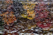 Reflections Reflections