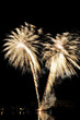 feuerwerk zwei blumen