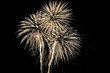 feuerwerk weiß