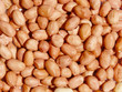 peanut