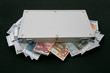 suitcase money