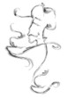 Chef sign