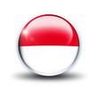 drapeau monaco