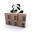 3d Teddy with some cardboard boxes