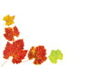 Colored grape leaves
