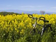 Radwanderung