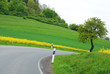 KurvenFahrt