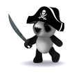 3d Teddy pirate
