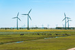 Ostfrieslands weites Land