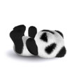 3d Teddy falls asleep