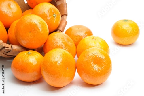 Photo: Nature baby orange full of blasket Nature baby orange full of blasket