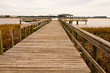 Old Pier Into Wetland Mash