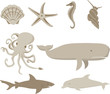 Set Of Ocean Creatures Set Of Ocean Creatures
