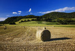 campo con fieno tagliato campo con fieno tagliato