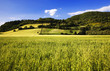 paesaggio rurale paesaggio rurale