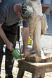 scultore del legno 2