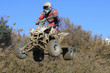 Jumping quad 39