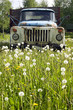 Old truck in nature concept