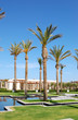 Palm trees at hotel entrance, Crete, Greece Palm trees at hotel entrance, Crete, Greece