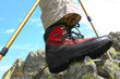 Zum Gipfel - To the Summit