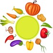 vegetable set