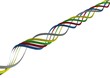Colorful Ribbons