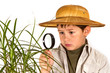 little biologist