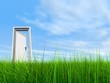 High resolution 3D white door opened in grass to the sky High resolution 3D white door opened in grass to the sky