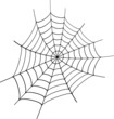 Spinne Netz Spinnennetz Spinne Netz Spinnennetz