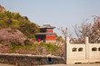 shrine view