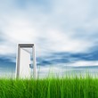 High resolution 3D white door opened in grass to the sky High resolution 3D white door opened in grass to the sky