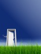 High resolution 3D white door opened in grass to the sky High resolution 3D white door opened in grass to the sky