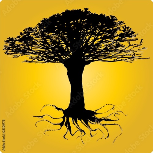 tree roots vector. Vector © timohaxxx