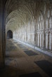 The Cloister in Gloucester Cathedral