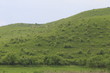 Transylvanie