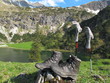 Gaisalpsee Schuhe Socken