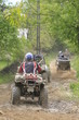 Transylvanie Transylvanie
