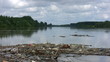 Waste from the city pollute the environment