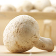 Mushrooms