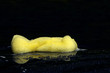 Foto: Auto waschen Auto waschen